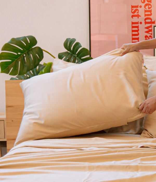 Paire de taies d'oreiller